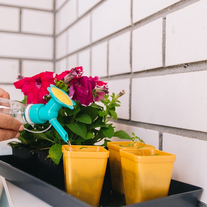 Насадка-рассеиватель на бутылку, цвет МИКС, Greengo Насадка-рассеиватель на бутылку, цвет МИКС, Greengo