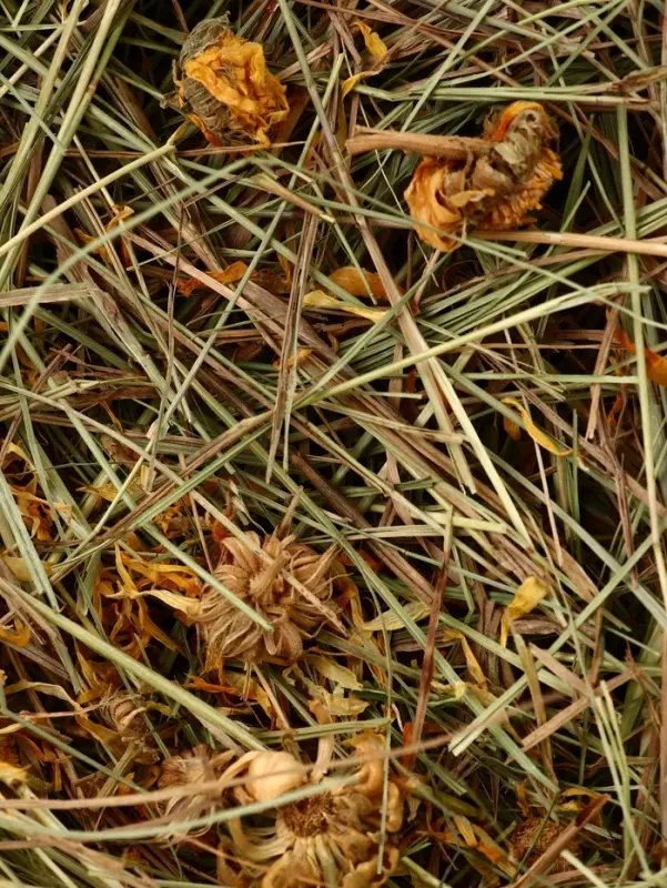Сено луговое &laquo;Зверьё Моё&raquo;, отборное, ароматное, зеленое, без пыли, календула, 500 г