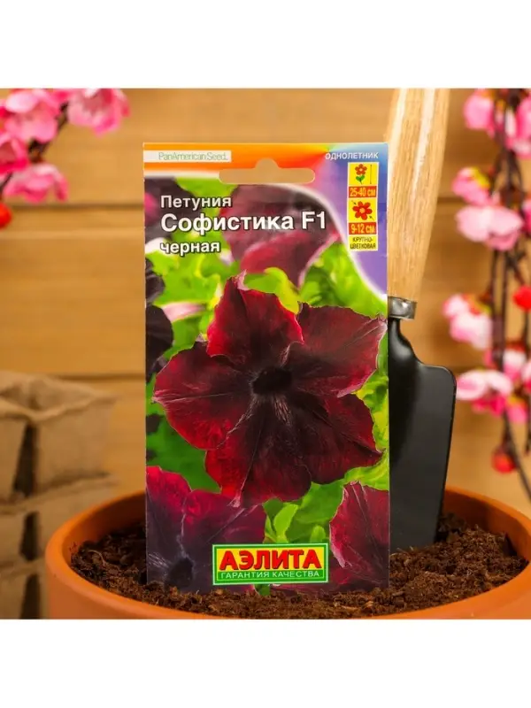 Набор семян Петуния Софистика черная F1 крупноцветковая, 4 шт., 2 шт.