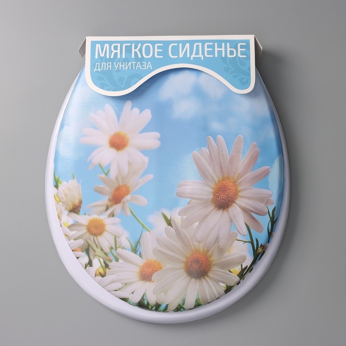 Сиденье для унитаза с крышкой Доляна &laquo;Ромашки&raquo;, 42&times;36,5 см
