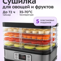 Сушилка для овощей и фруктов КТ-1903 - 250 Вт