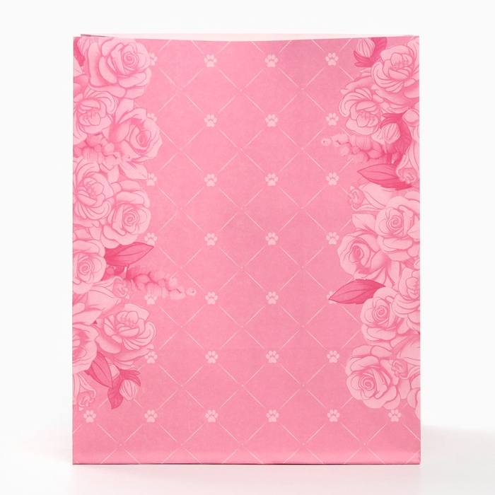 Набор крафтовых пакетов со стикерами, Коты Аристократы, 18х22х12 см