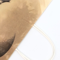 Пакет подарочный крафт "Самому сильному" 26 х 11 х 32 См Пакет подарочный крафт "Самому сильному" 26 х 11 х 32 См