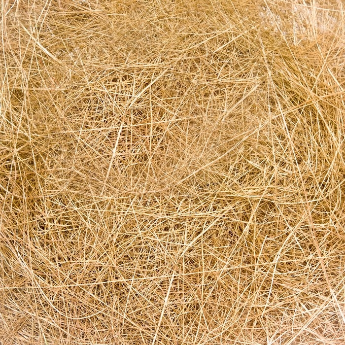 Каркас флористический натуральный, тёмный 30 см