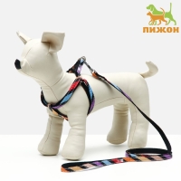 Комплект амуниции двухслойный, S, поводок 120х1 см,ОШ 24-38 ОГ 29-41 см, разноцветные полосы   96837