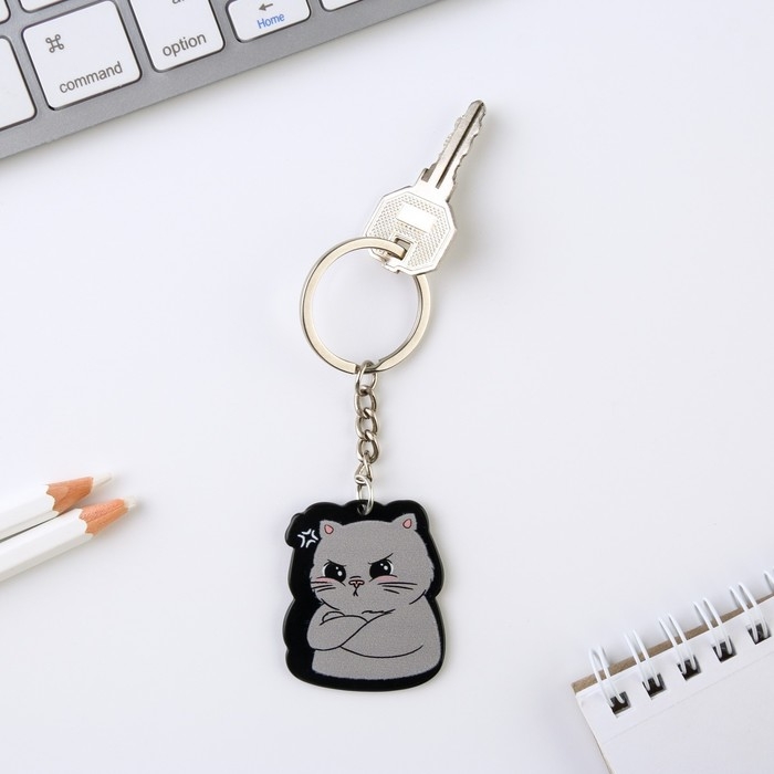 Брелок для ключей акриловый &laquo;Я вредный&raquo;, 7 х 12,5 см