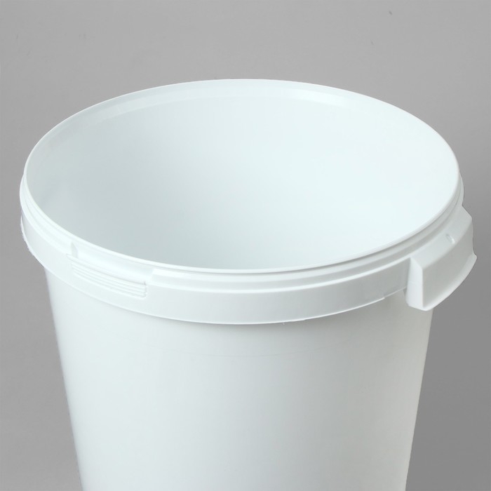 Бак пищевой &laquo;Для солений&raquo;, 32,9 л, с герметичной крышкой