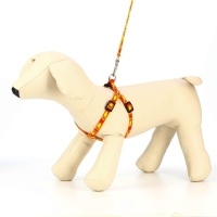 Комплект "Большая лапа", ширина 1 см, поводок  120 см, шлейка 25-36 см, оранжево-жёлтый