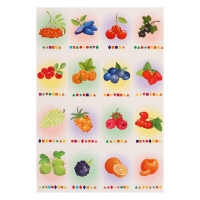 Магнитный набор &laquo;Буквы прилипалы. Фрукты&raquo;