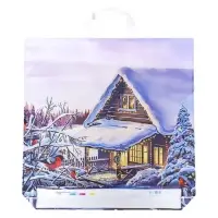 Пакет "Домик в лесу", полиэтиленовый с петлевой ручкой, 45х45 см, 60 мкм