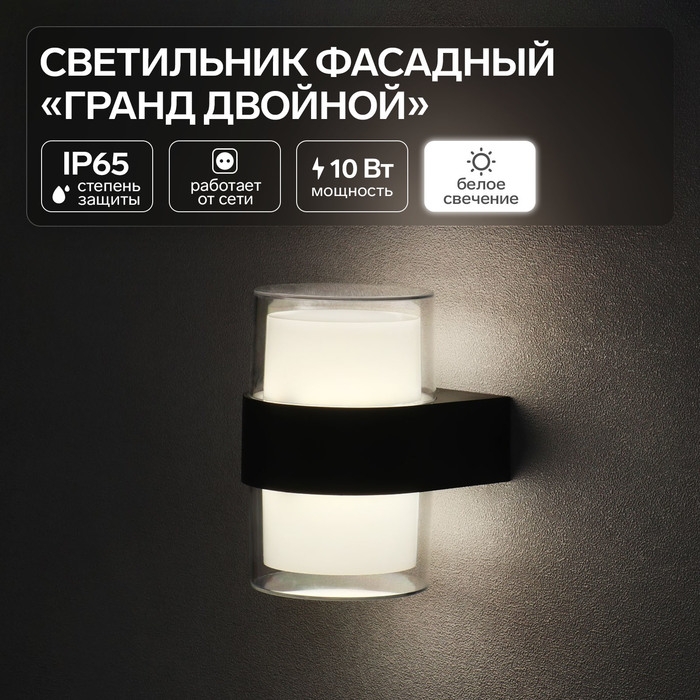 Светильник фасадный &laquo;Гранд двойной&raquo;, FSD-076, 10 Вт, 4000К, IP65, 220 В, пластик, черный