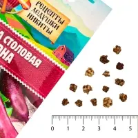 Семена Свекла столовая "Мона", 1,5 г