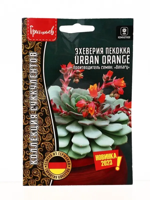 Семена цветов Эхеверия Urban Orange пекокка  5др.  12.29 г.