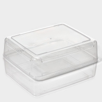 Контейнер для хранения яиц Доляна, 20 ячеек, 27,5&times;22&times;7 см, цвет МИКС