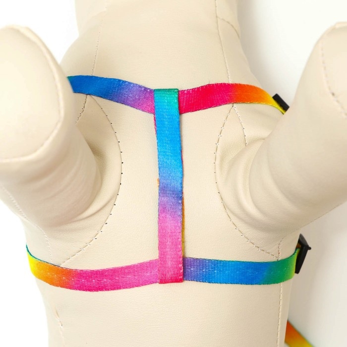 Комплект Комплект "Радуга", капрон, поводок 120 х 1 см, ОГ 24-34 см, разноцветный