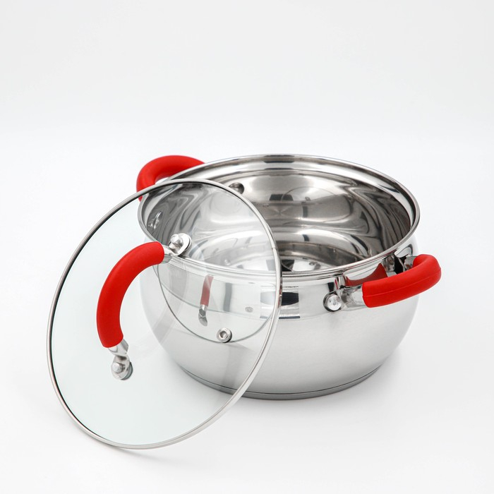 Кастрюля из нержавеющей стали Доляна &laquo;Вернер&raquo;, 2,5 л, d=18 см, с крышкой