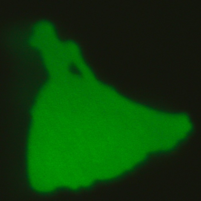 Большой набор опытов «Принцессы», 7 весёлых опытов Большой набор опытов «Принцессы», 7 весёлых опытов