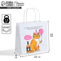 Пакет подарочный, упаковка, «Туса», 22 х 22 х 11 см Пакет подарочный, упаковка, «Туса», 22 х 22 х 11 см