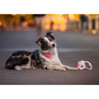 Рулетка "Лапа", 5 м, до 35 кг, принт цветы Рулетка "Лапа", 5 м, до 35 кг, принт цветы