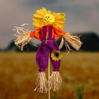 Огородное пугало &laquo;Солнце&raquo;, h = 50 см, МИКС, Greengo