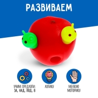 Развивающая игрушка &laquo;Сенсорное яблочко&raquo;, 3+