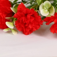 Букет "Гвоздики пушистые" 4х28 см, микс