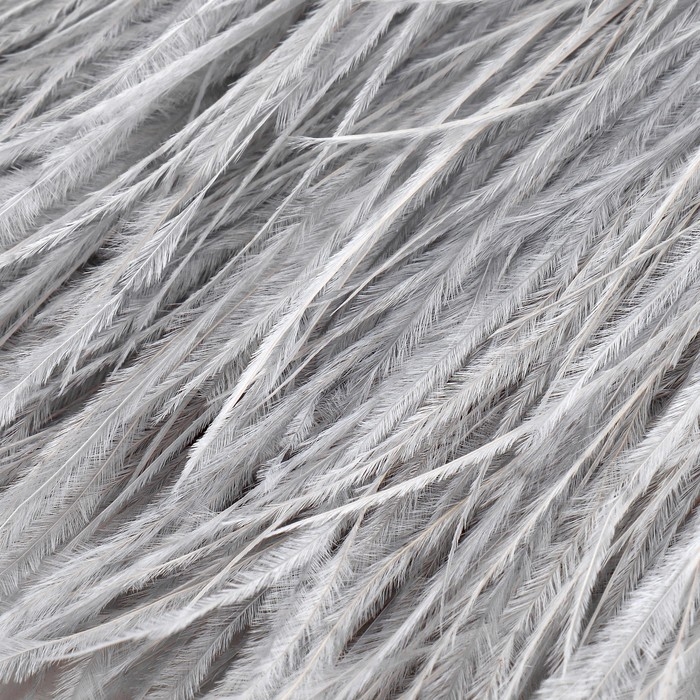 Тесьма с перьями страуса, 8-10 см, 5 &plusmn; 0,5 м, цвет светло-серый