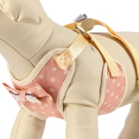 Комплект амуниции с мягкой шлейкой "Горох", S, поводок 120 х 1,5 см, ОШ 26-40 см, ОГ 28-42 см, роз