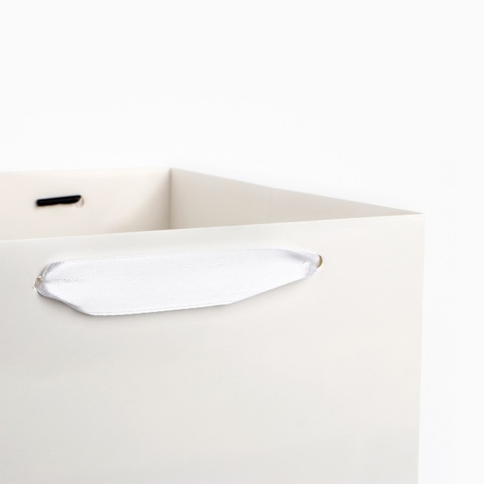 Переноска для цветов с вкладышем для фиксации, &laquo;Самой нежной&raquo;, белый, 35 х 20 х 20 см