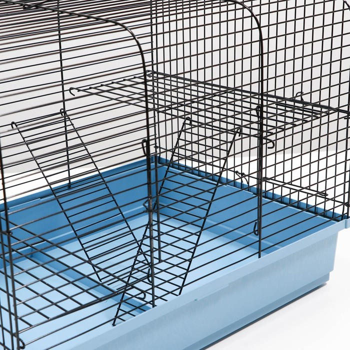 Клетка для грызунов Клетка для грызунов "Сеня 2", 50 x 37 x 37 см, микс цветов