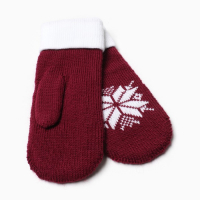 Варежки женские, цвет бордовый, размер 18 Варежки женские, цвет бордовый, размер 18