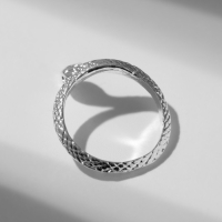 Новый год! Символ года 2025! Кольцо «Змея» миниатюрное, цвет серебро, безразмерное Новый год! Символ года 2025! Кольцо «Змея» миниатюрное, цвет серебро, безразмерное