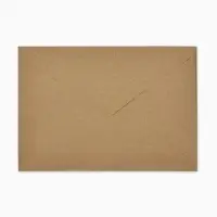 Письмо Деду Морозу &laquo;Елочные игрушки и бант&raquo;