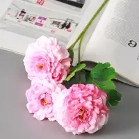 Цветы искусственные "Хризантема волнистая галант" d-8 см 58 см, розовый