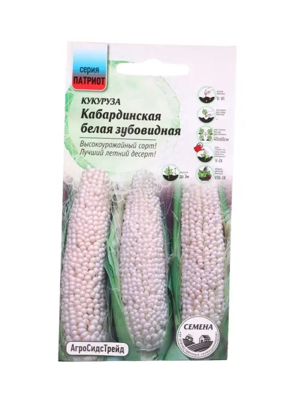 Семена Кукуруза Кабардинская Белая Зубовидная 2 г