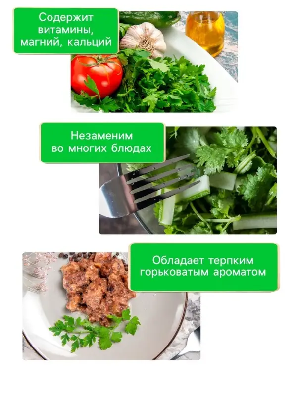 Семена Кориандр "Янтарь", 5 г