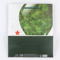 Пакет подарочный ламинированный вертикальный, упаковка, &laquo;С Праздником&raquo;, ML 23 х 27 х 11,5 см