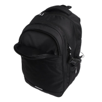 Рюкзак молодёжный, 40 х 28 х 18 см, эргономичная спинка, Stavia "Город-1", чёрный