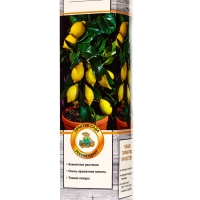 Цитрус "Лимон Лунарио", туба, 1 шт, Весна 2025