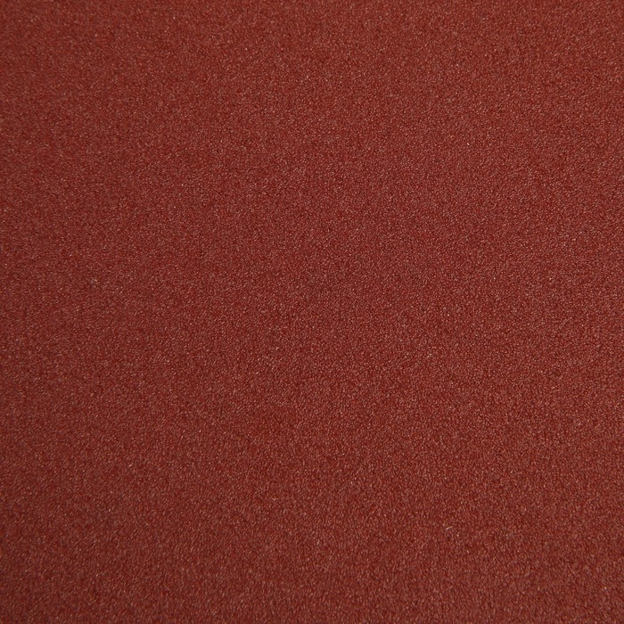 Круг абразивный шлифовальный под Круг абразивный шлифовальный под "липучку" ТУНДРА, 180 мм, Р120, 5 шт.