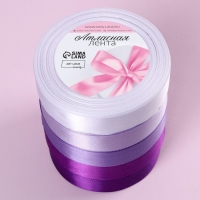 Набор атласных лент, 5 шт, размер 1 ленты: 20 мм &times; 23 &plusmn; 1 м, цвет фиолетовый спектр