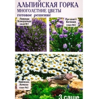 Семена Набор "Альпийская горка", Лаванда, Лук шнитт, Нивяник, 0,06 г