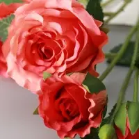 Цветы искусственные &laquo;Роза Августина галант&raquo;, d=6 см, h=55 см, персиковые