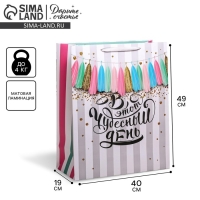 Пакет подарочный ламинированный, упаковка, &laquo;В этот чудесный день&raquo;, XL 49 х 40 х 19 см