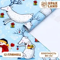 Бумага упаковочная новогодняя глянцевая &laquo;Морозный день! &raquo;, 70&times;100 см