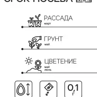 Семена цветов Аквилегия "Шахерезада", 0,1 г