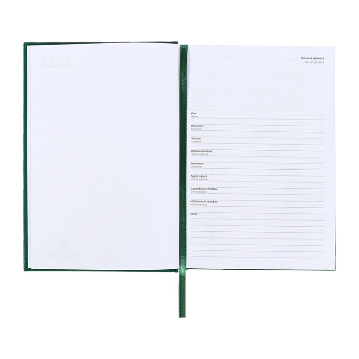 Ежедневник датированный 2024 года, А5, 176 листов, Attomex.Orion, обложка бумвинил, ляссе, блок 70 г/м2, зелёный