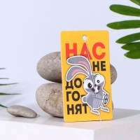 Ароматизатор в авто &laquo;Нас не догонят&raquo;, аромат: цитрус