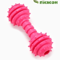 Игрушка жевательная "Чемпион", TPR, 12,5 см, розовая Игрушка жевательная "Чемпион", TPR, 12,5 см, розовая