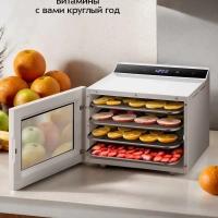 Сушилка для овощей и фруктов КТ-4952 - 350 Вт